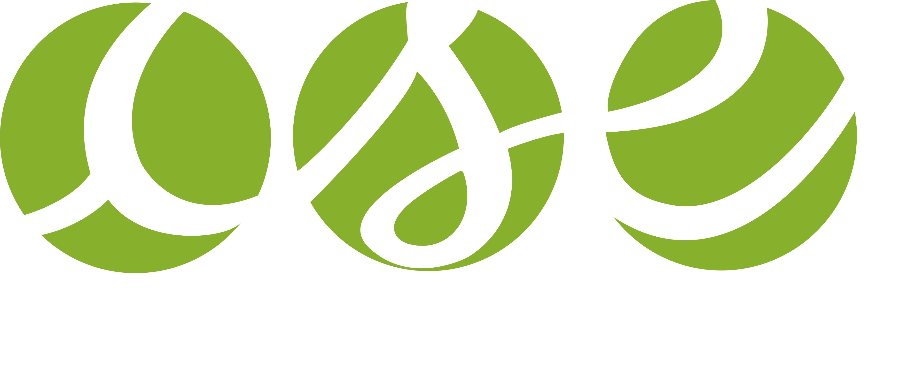CSE ACC Bruges & Paris